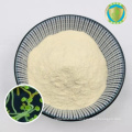 Food Additive High Activity Raw Material OEM Probiotics Powder